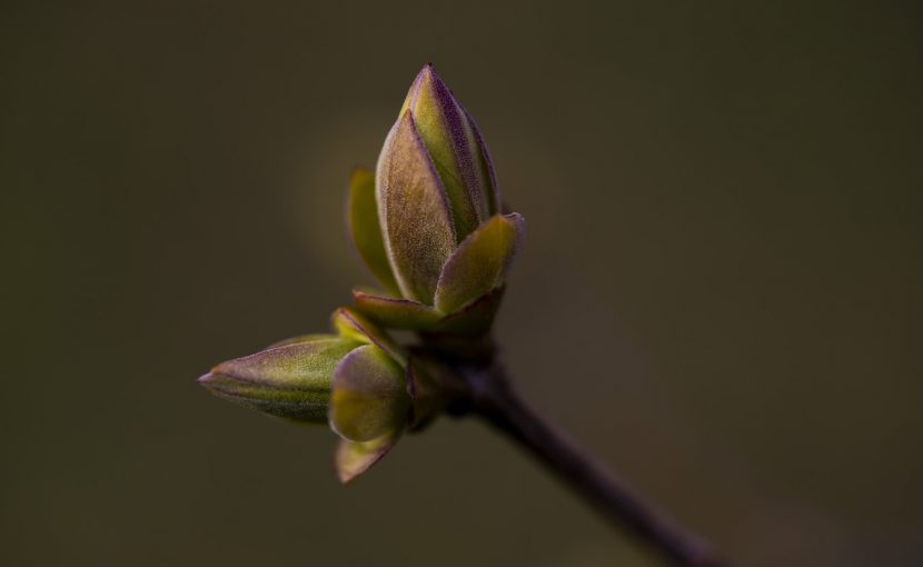 書道師範を目指すあなたへ