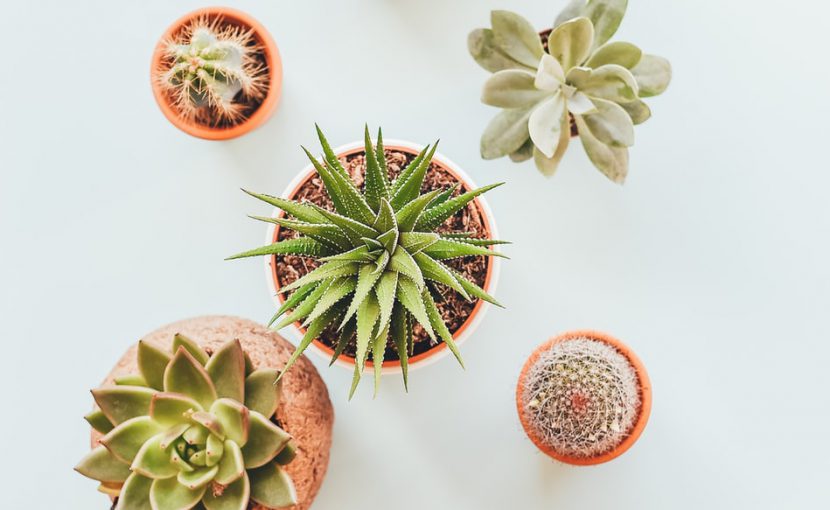 別に書道なんて好きじゃない！